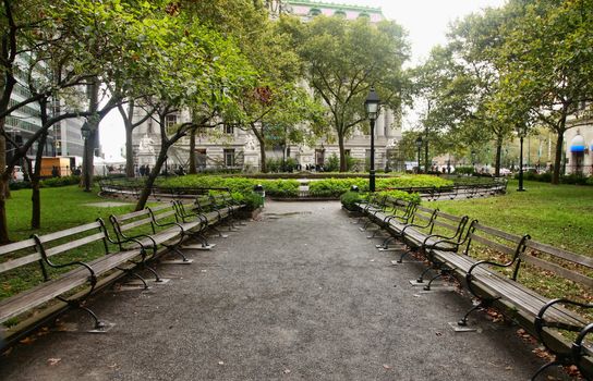 Benchs in the autumn park in centre New York