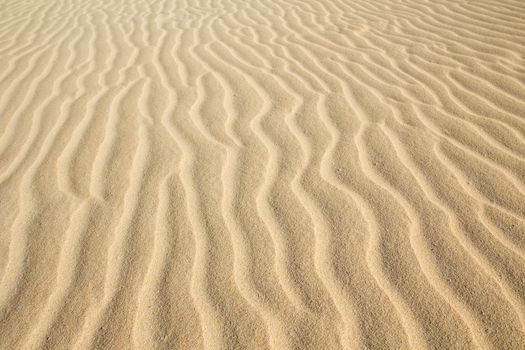 Desert sand pattern texture background from the sand in the Dunes of Corralejo in Fuerteventura, Canary Islands.