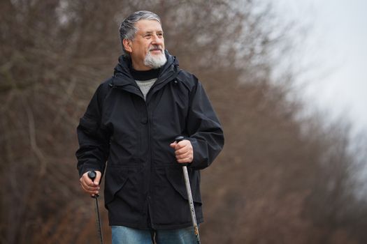 Senior man nordic walking, enjoying the outdoors, the fresh air, getting the necessary exercise