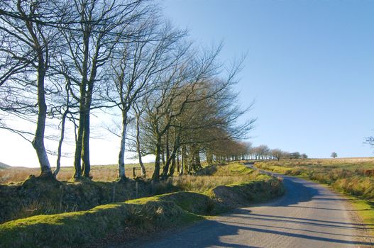 Road crossing the moors at Exmoor