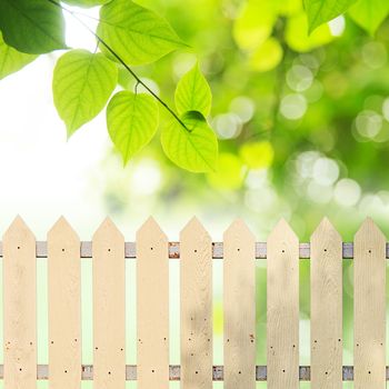 White fences with green leaves background