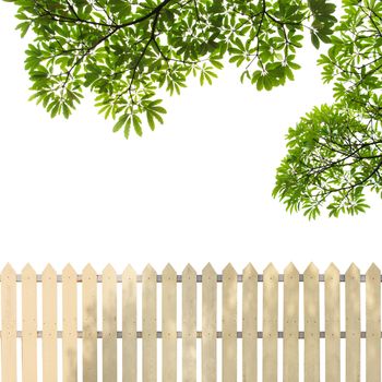 White fences with green leaves background