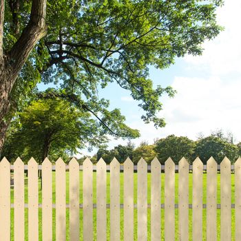 White fences in the garden