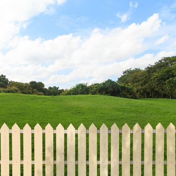 White fences in the garden