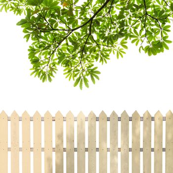 White fences with green leaves background