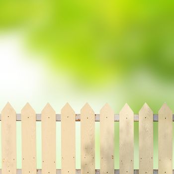 White fences with green leaves background