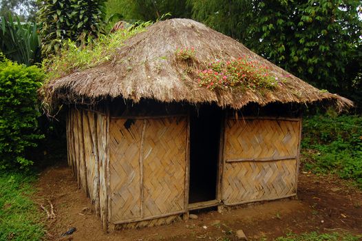 Village house at rural area, Papua New Guinea