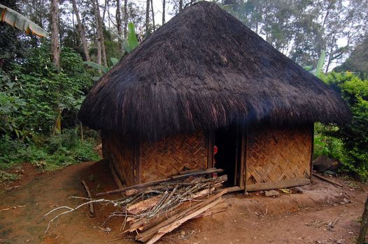 Village house with firewood at rural area, Papua New Guinea