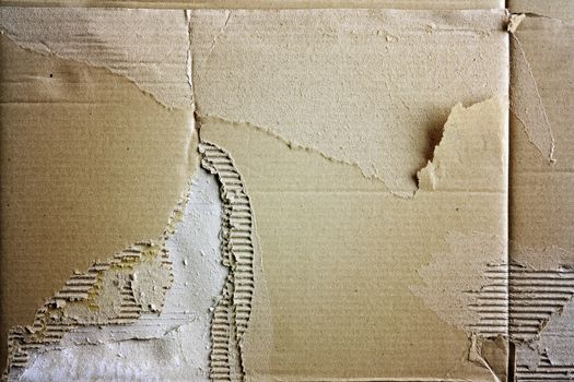 Closeup of ripped cardboard texture