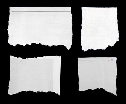 Pieces of torn paper on black. Copy space