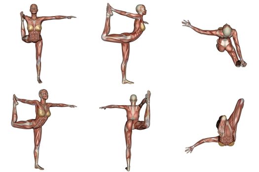 Six different view of dancer yoga pose for woman with muscle visible in white background