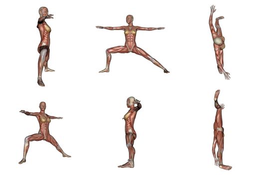 Six different view of warrior yoga pose for woman with muscle visible in white background