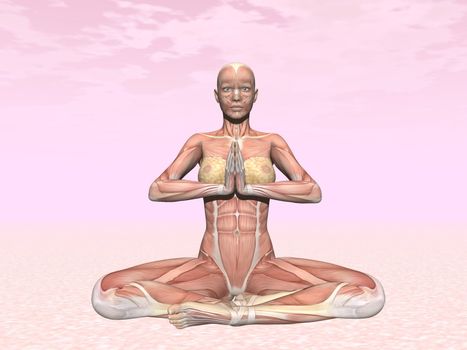 Meditation yoga pose for woman with muscle visible in pink background