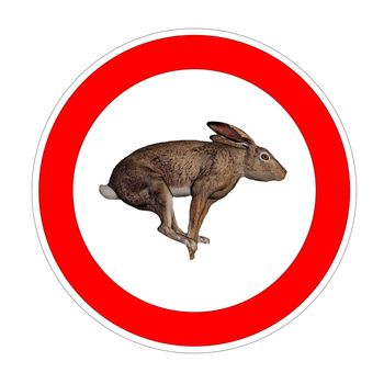 One hare inside speed limit symbol in white background