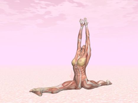 Monkey yoga pose for woman with muscle visible in pink background