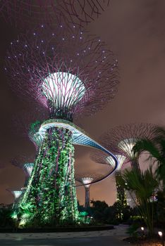 SINGAPORE - 31 DEC, 2013: Gardens by the Bay night view with amazing illumination. Supertree Grove and light show is popular Marina Bay Sands tourist attraction 