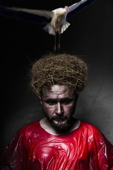 imagination, prodigious mind, man with stork nest on his head