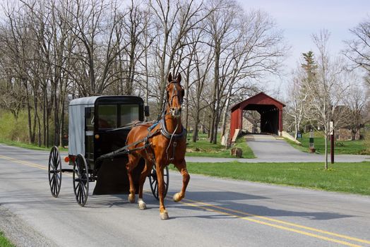 An Amish horse and carriage travels on a rural road in Lancaster County,Pennsylvania.