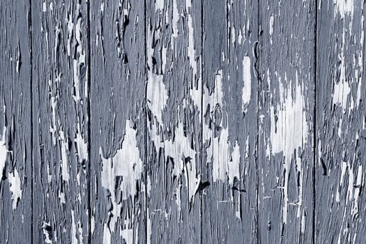 Closeup of peeling paint on boarding