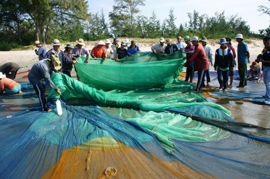 BINH THUAN, VIETNAM- JAN 22: Crowded atmosphere on beach with impression 's group of fisherman pull fish net, row of people with long net in hand, Viet Nam, Jan 22, 2014                           