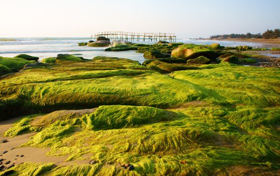 Impressive landscape of nature with amazing seaweed, green moss cover on stone, waves  crashed onto shore , small wooden bridge, it's make romantic, paradise scenery on beach 