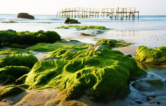 Impressive landscape of nature with amazing seaweed, green moss cover on stone, waves  crashed onto shore , small wooden bridge, it's make romantic, paradise scenery on beach 