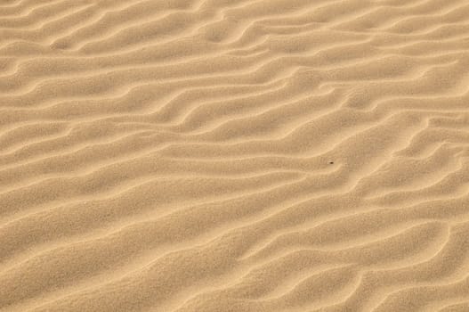 Texture Sand Dune Desert in Gran Canaria Island Spain