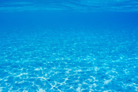 A white sand bottom in clear water at Maldives