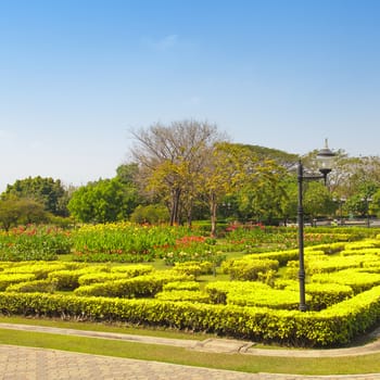 Beautiful green park garden