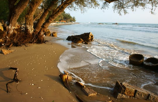 Erosion at seaside, tree with roof, wave destroy seawall, effect of climate change, this is global environment problem in future