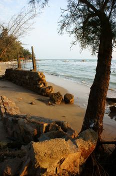 Erosion at seaside, tree with roof, wave destroy seawall, effect of climate change, this is global environment problem in future