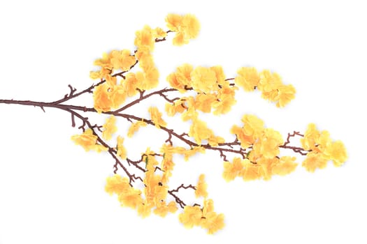 Artificial branch with yellow flowers. Isolated on a white background.