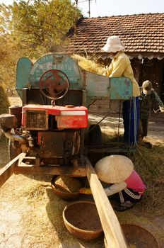 BINH THUAN, VIETNAM- FEB 15: Family of farmer harvesting paddy grain from good crop at home, they thresher rice by threshing machine, product put into sack, dynamic atmosphere, Viet Nam, Feb 15,2014