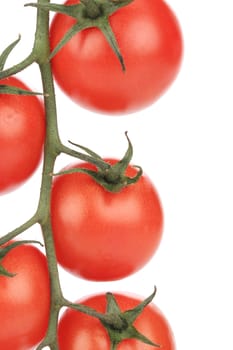 close up of Composition of tomatoes cherry. Isolated on a white background.