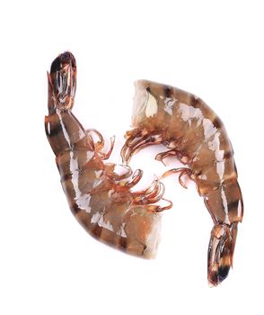 Two raw shrimps. Isolated on white background.
