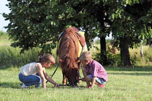 children play with pony horse pet