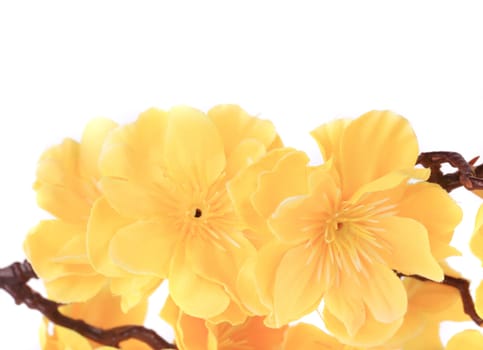Yellow artificial flowers. On a white background.
