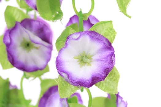 Hanging lilac artificial flowers. On a white background.