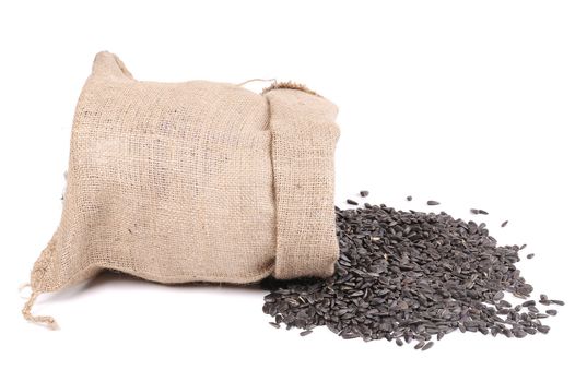 Burlap bag with sunflower seeds. Isolated on a white background.