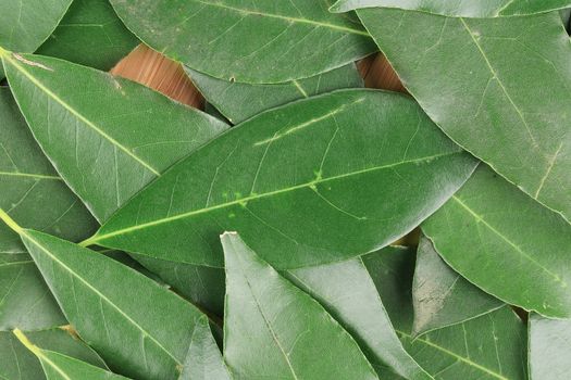 Bay leaves. On a cutting board. Located on the whole background.