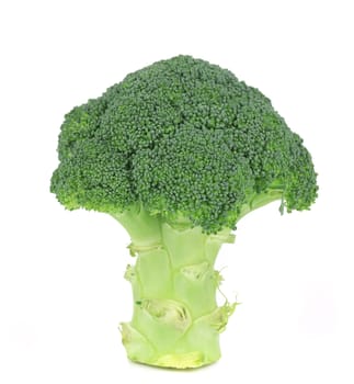 Fresh broccoli. Isolated on a white background.