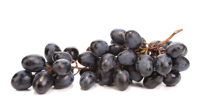 Branch of ripe black grapes. Isolated on a white background.