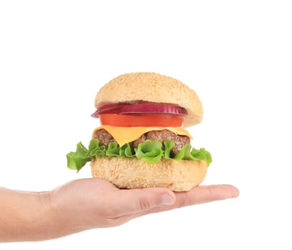Hamburger with red onion. Isolated on a white background.
