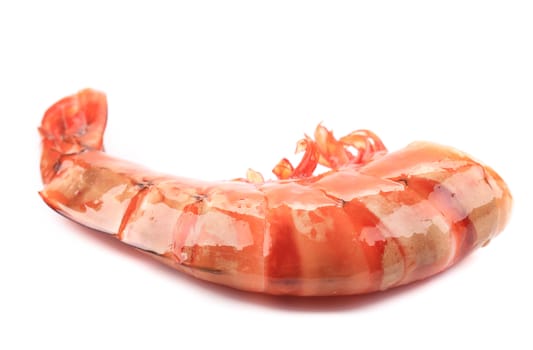 Shrimp close up on white. Isolated on a white background.