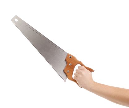 Wood hand saw. Isolated on a white background.