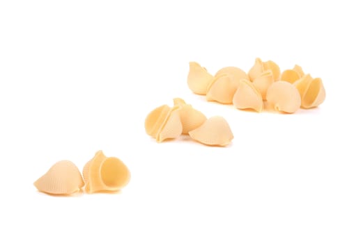 Bunches of Italian pasta shells. isolated on white background