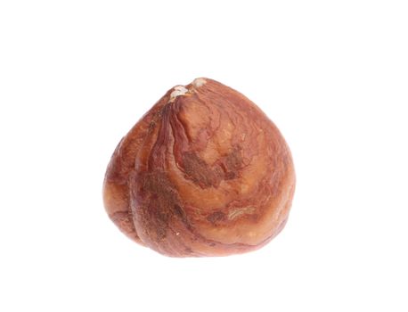 Chestnut. Isolated on a white background.