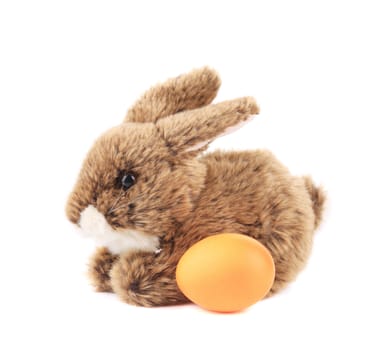 Easter bunny with egg. Isolated on a white background