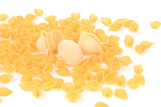 Italian pasta shells. isolated on white background