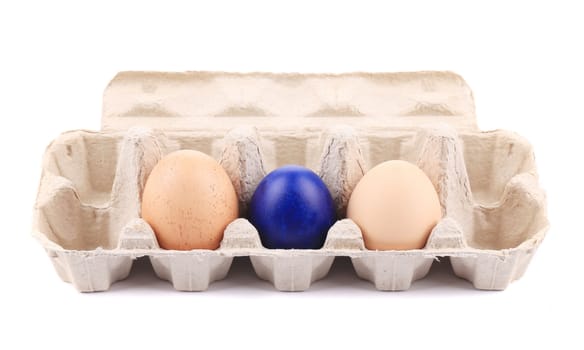 Cardboard egg box with one dark blue easter and market eggs. isolated on a white background